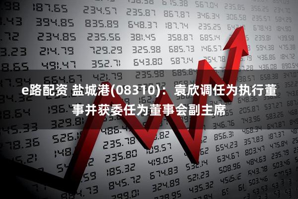 e路配资 盐城港(08310)：袁欣调任为执行董事并获委任为董事会副主席