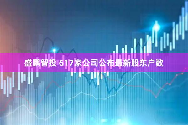盛鹏智投 617家公司公布最新股东户数